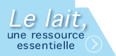 le lait, une resource essentielle